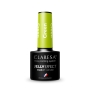 CLARESA JELLY GREEN 5ml - 4