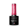 CLARESA JELLY MAGENTA 5ml - 4