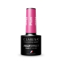 CLARESA JELLY PLUM 5ml - 4